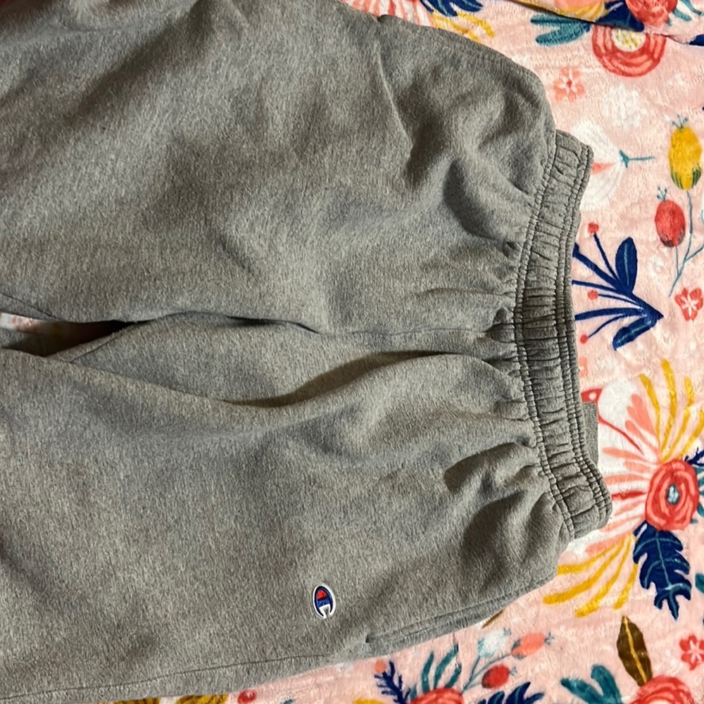 Grey champion sweats